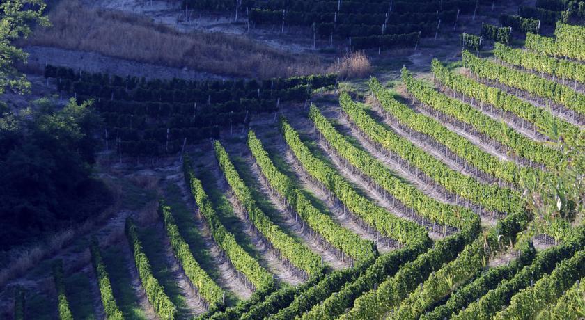 Cascina Arcangelo Raffaele Verduno Eksteriør billede