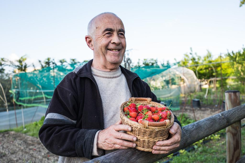 Cascina Arcangelo Raffaele Verduno Eksteriør billede
